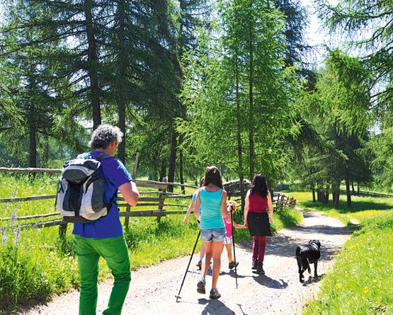 3 Tage im Frühling & Sommer