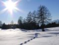 Winterwoche