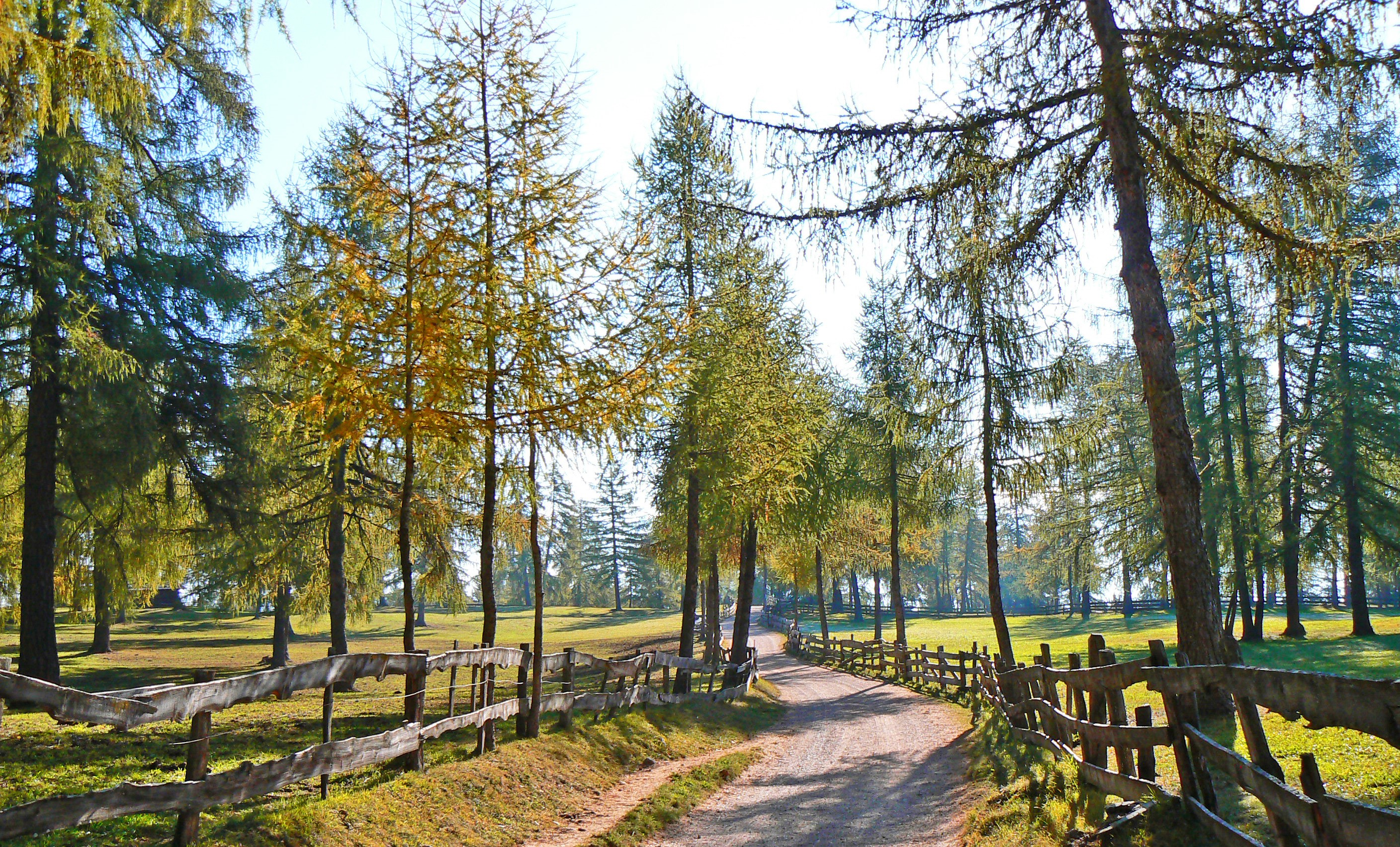 Escursionismo_autunno_König_Laurin_Salto