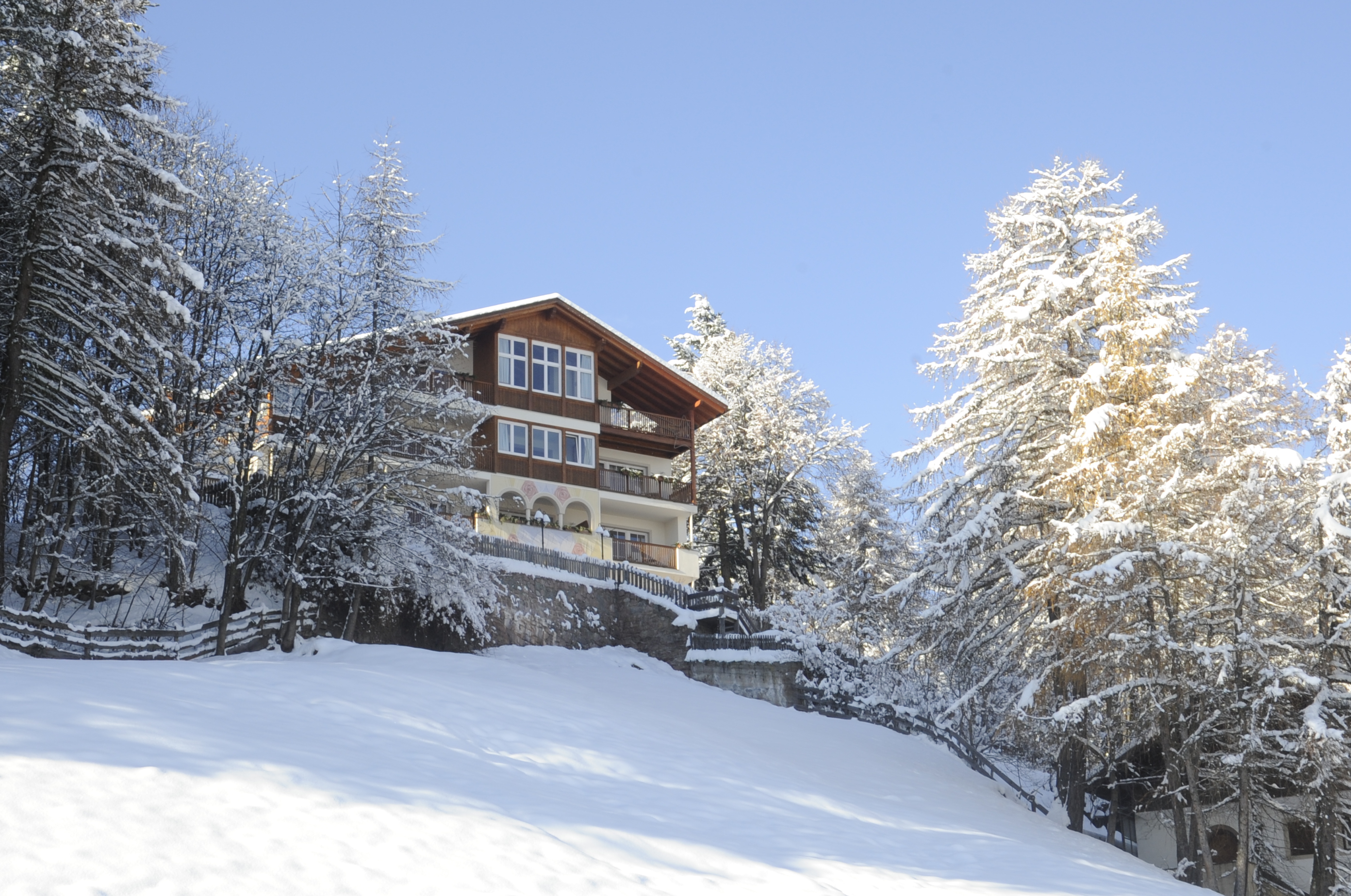 Winter_König_Laurin_Jenesien