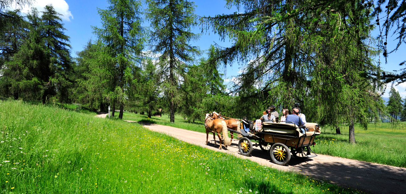 Hotel König Laurin Jenesien - Genesio